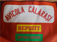 serigrafie sorturi